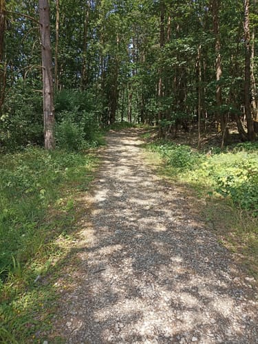 Frohnlach - Seehof - Hohe Aßlitz