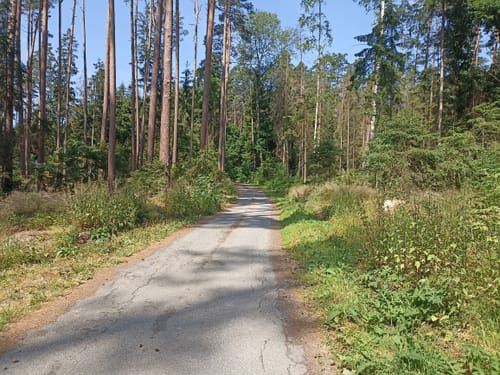 Frohnlach - Seehof - Hohe Aßlitz