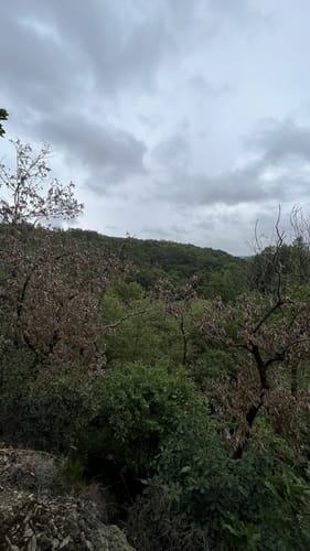 Von Döttesfeld durchs Grenzbachtal