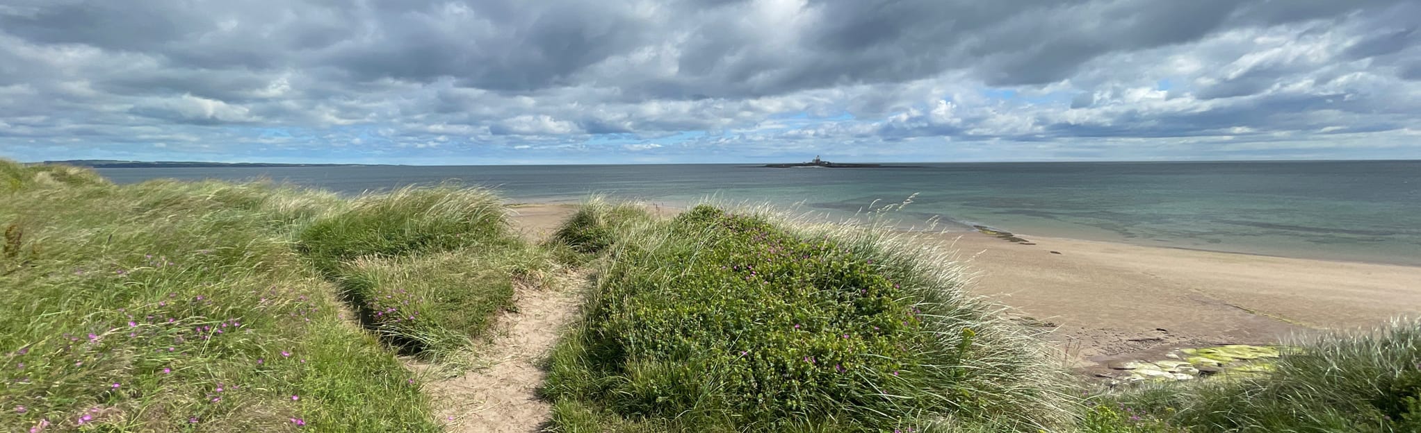 Amble to Hauxley Nature Reserve Circular, Northumberland, England 23
