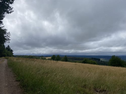 Piesporter Berg (RW 2)