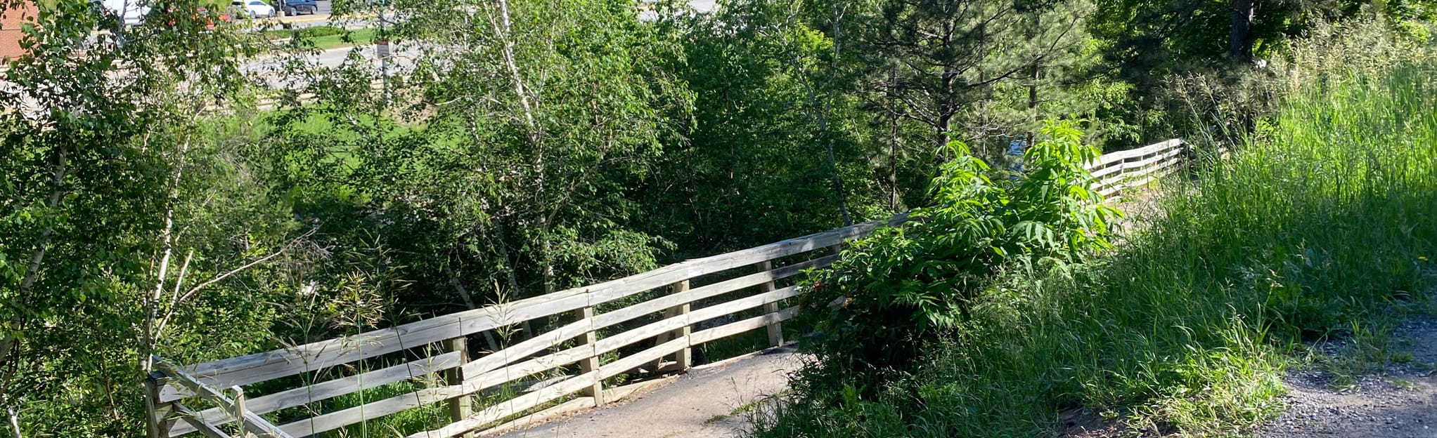 Whitewood Creek Trail, South Dakota 53 Reviews, Map AllTrails