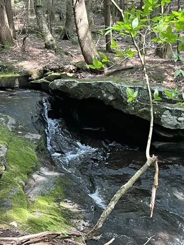 2023 Best Horseback Riding Trails in Lake Luzerne AllTrails