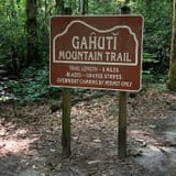 Gahuti Backcountry Trail, Georgia - 1,437 Reviews, Map | AllTrails