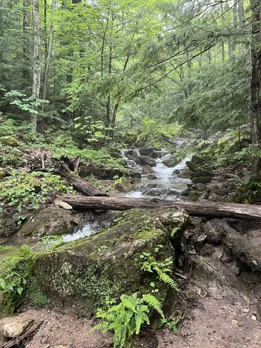 2023 Best Lake Trails in Pretty River Valley Provincial Park | AllTrails