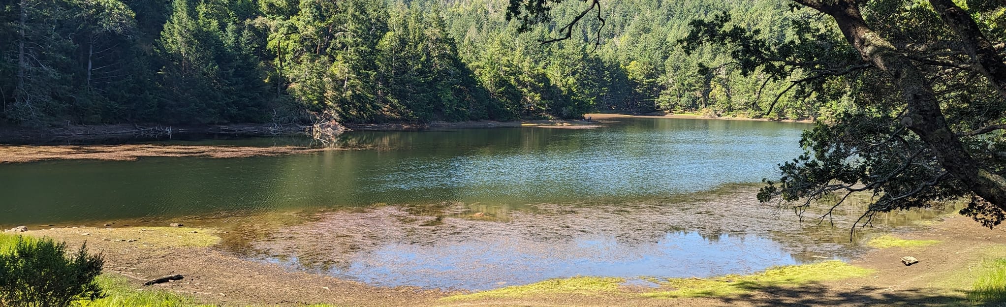 Bon Tempe and Alpine Lakes via Sunny Side, Pine Point, and Kent Trail