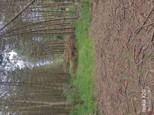 Dün Rundwanderweg (Gelber Balken)