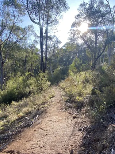 Best Camping Trails in Uriarra Village | AllTrails