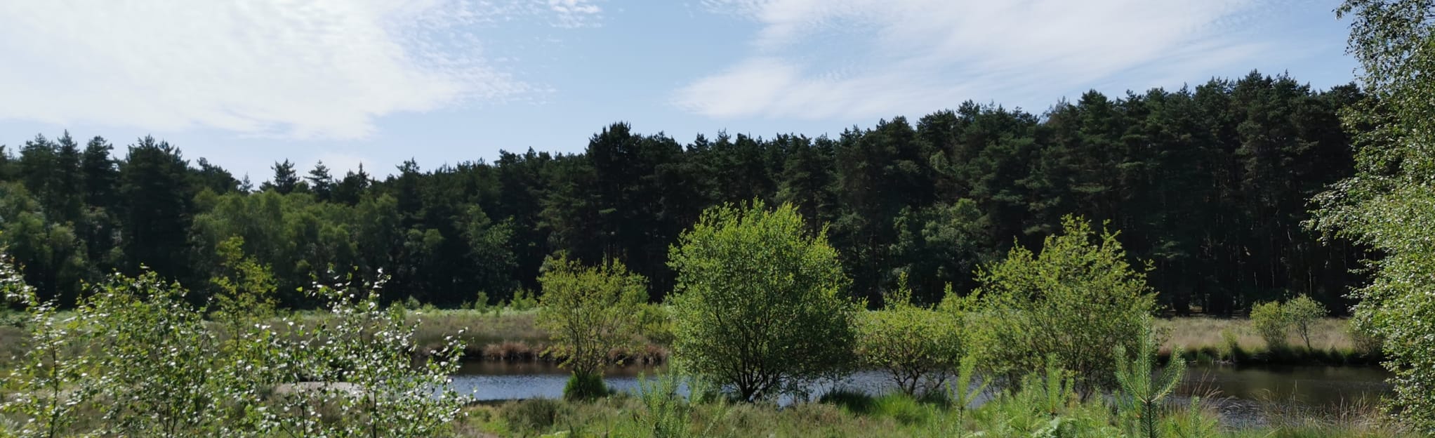 Horsell Common and Fairoaks Airport Circular, Surrey, England 364