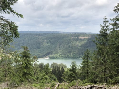 Rennsteig Etappe 6: Friedrichshöhe - Spechtsbrunn