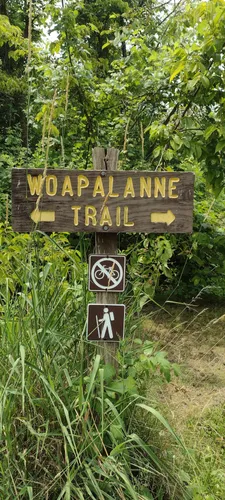 Best Hikes and Trails in Bald Eagle State Park | AllTrails