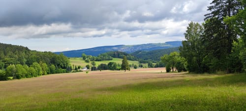 Zur Morgenleithe