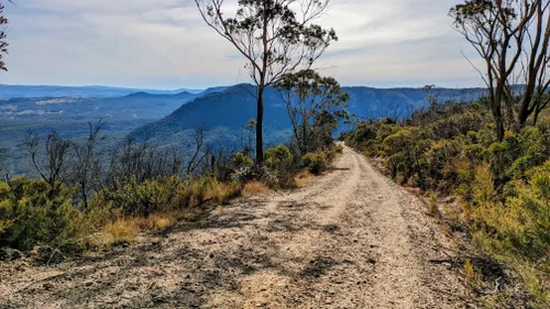 mountain bike trails blue mountains