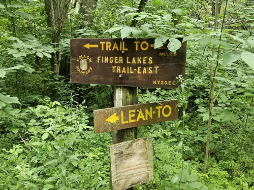 Best Hikes and Trails in Sugar Hill State Forest | AllTrails