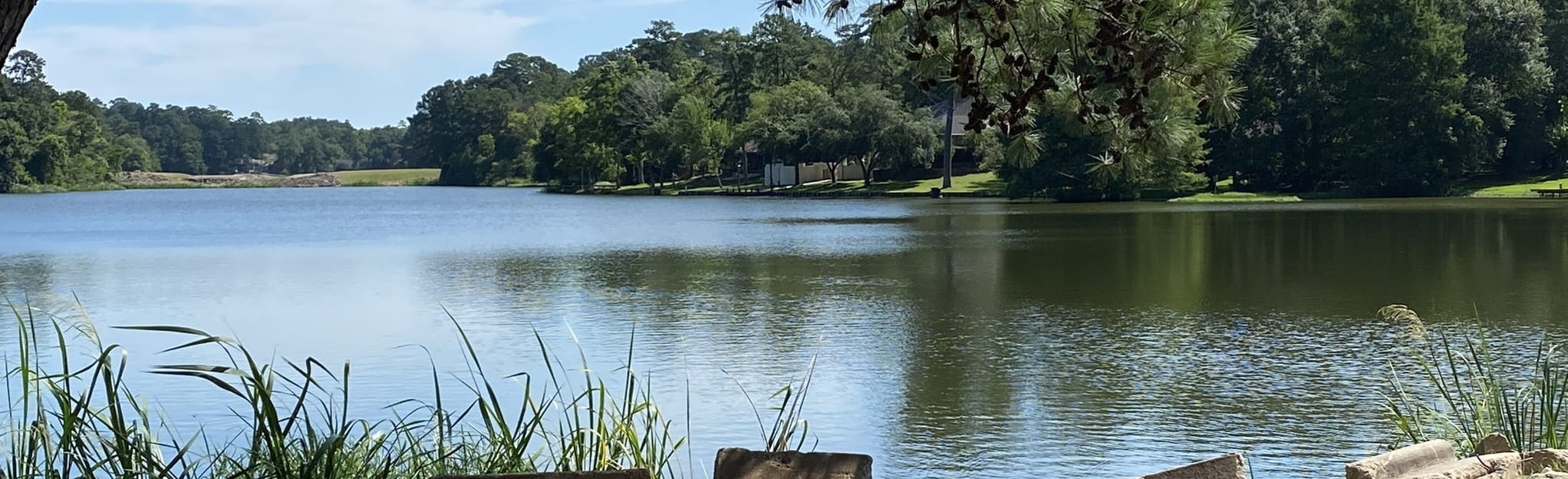 Lone Star Hiking Trail Huntsville Section 161 Reviews, Map Texas