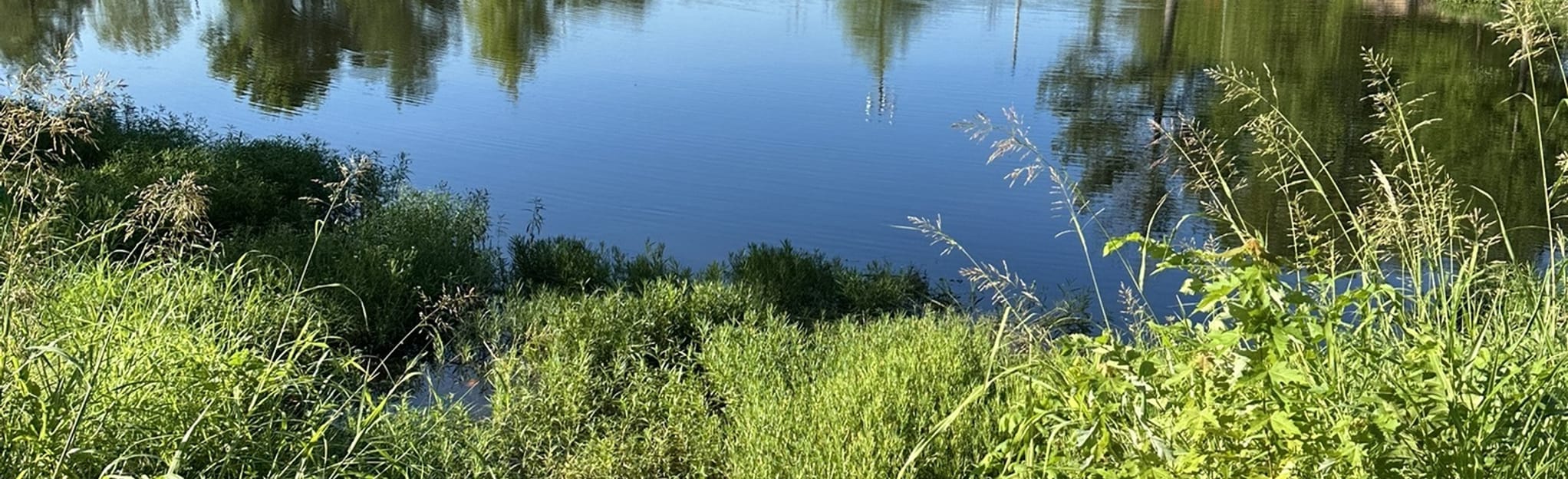 Kelly Lane Park Loop, Oklahoma 76 Reviews, Map AllTrails