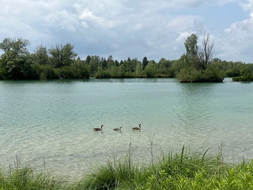Weitmannsee Rundweg