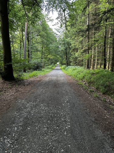 Eifelsteig Etappe 1: Kornelimünster - Roetgen