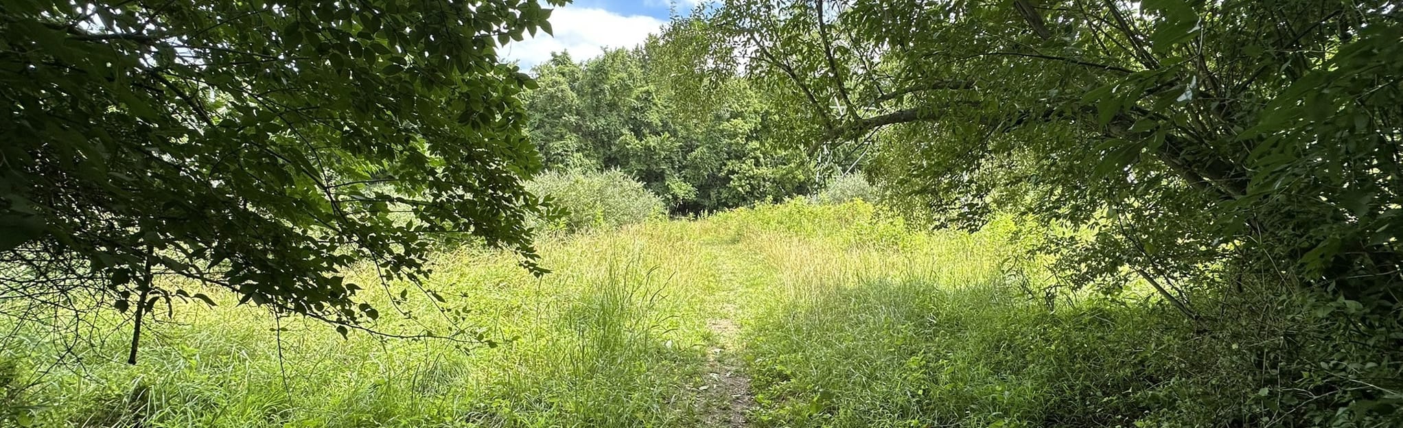 Strawberry Creek Trail 426 Reviews, Map Missouri AllTrails