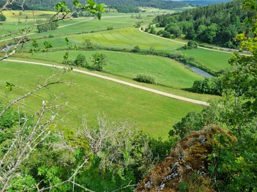 Witbergrunde (Premiumwanderweg)