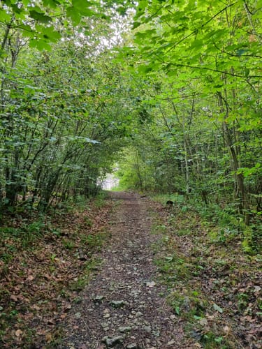 Witbergrunde (Premiumwanderweg)