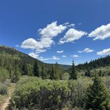 Buffalo Peaks Loop, Colorado - 333 Reviews, Map | AllTrails