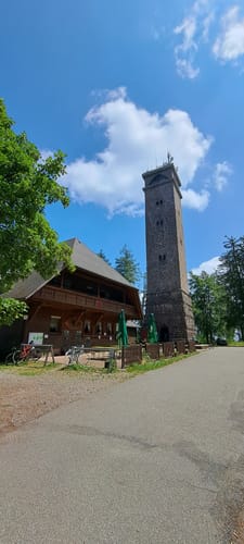 MTB: Brandenkopf Single-Trail