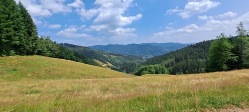 MTB: Brandenkopf Single-Trail