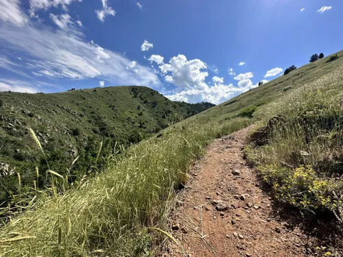 The Best Trail Running Routes in Golden - 5280