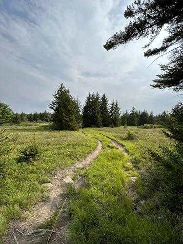 Dolly sods cheap best hikes