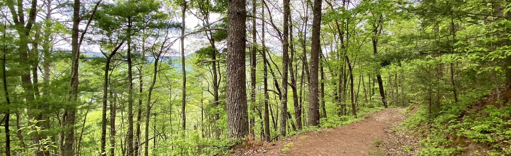 Rabbit Creek Trail, Tennessee 39 Reviews, Map AllTrails