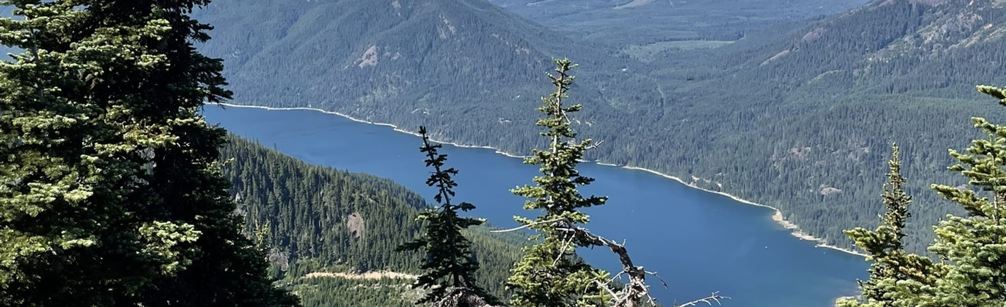 Thorp Mountain via Kachess Ridge Trail 14 Reviews, Map Washington