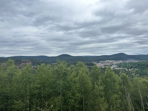 Dahner Felsenpfad (Premiumwanderweg)