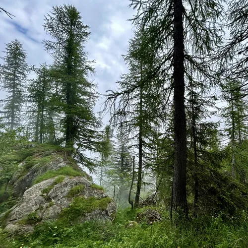 best-hikes-and-trails-in-ospedaletto-alltrails