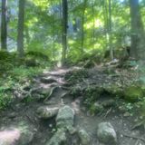 Metcalfe Rock Side Trail Loop, Ontario, Canada - 383 Reviews, Map ...