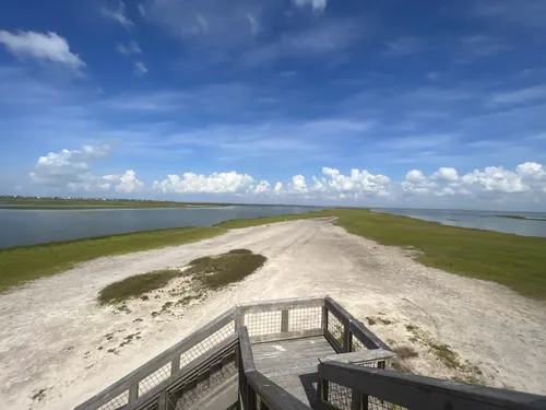 Coastal Adventures: 5 Scenic Hiking Trails in Galveston – Texas