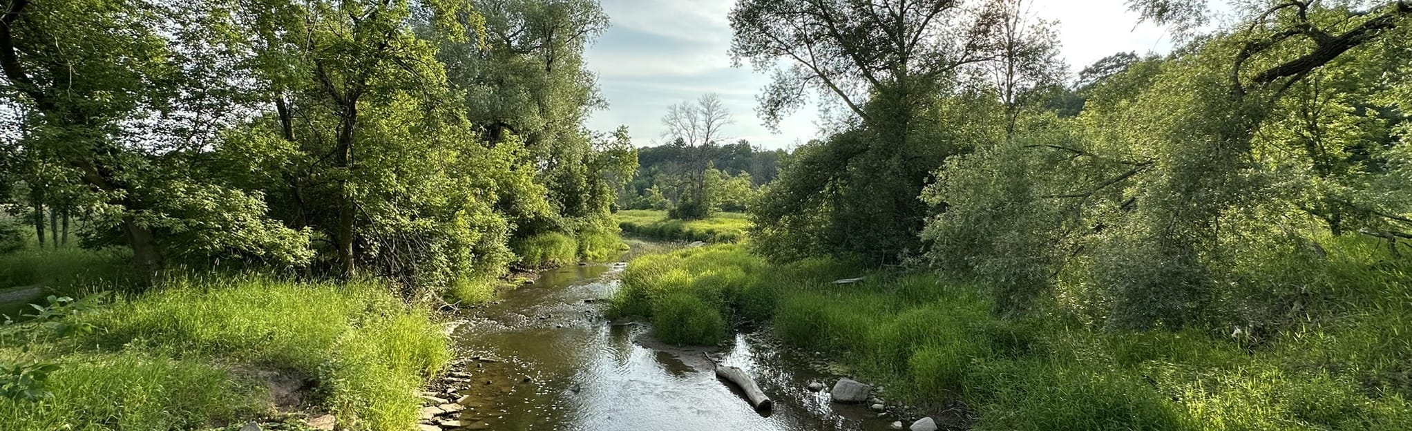 AllTrails Maywood Park and Evergreen Park Trails 76 Reviews, Map