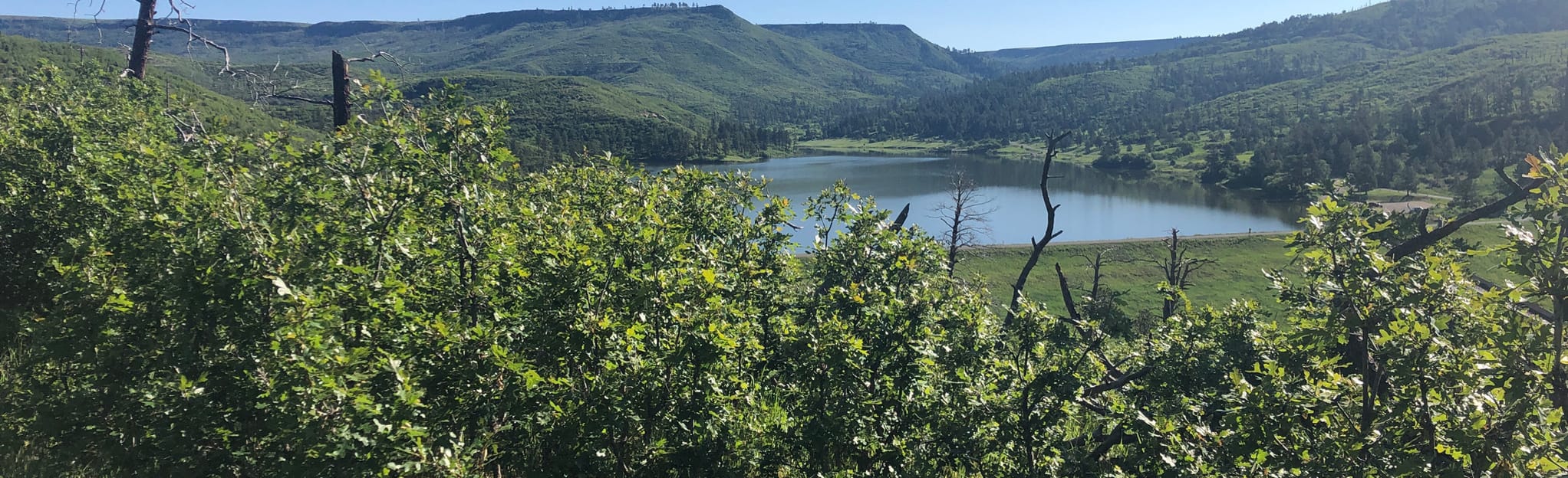 Little Horse Mesa Trail via Ponderosa Ridge Trail, New Mexico 10