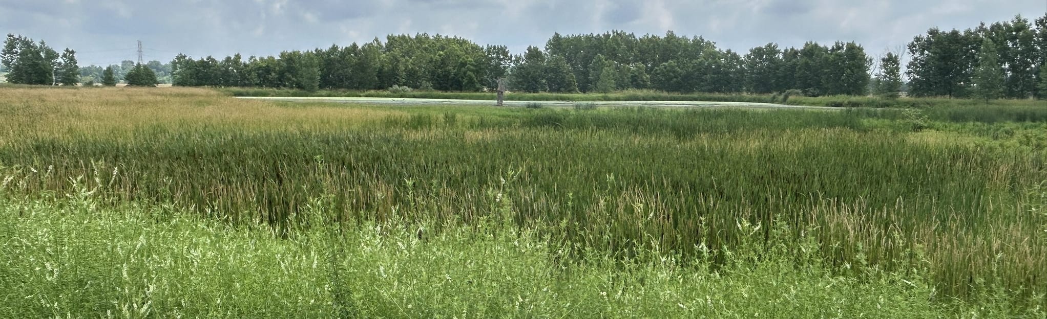 Upper Macatawa Mountain Bike Trails 131 Reviews, Map Michigan