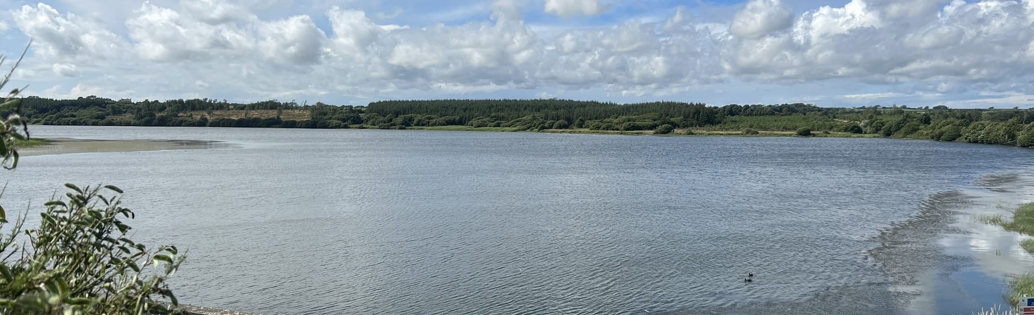 Llangefni and Cefni Reservoir 100 photos Anglesey, Pays de Galles AllTrails