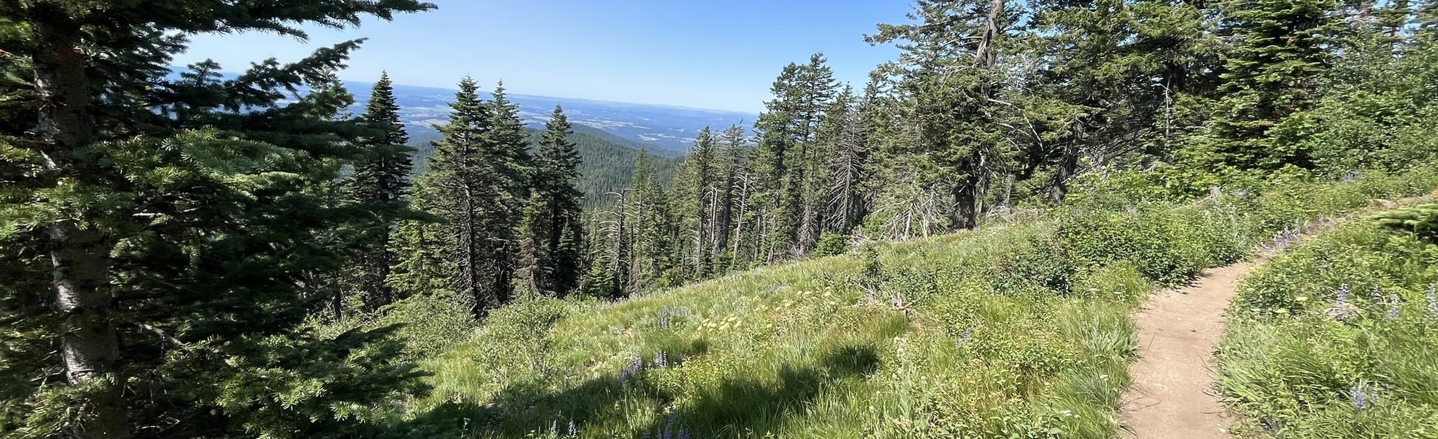 Bald Knob CCC Cabin Trail, Washington 308 Reviews, Map AllTrails