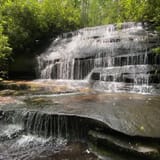 Butter Gap to Cat Gap Trail , North Carolina - 490 Reviews, Map | AllTrails