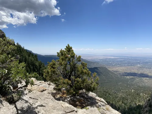 10 Best Wildlife Trails in Sandia Park AllTrails