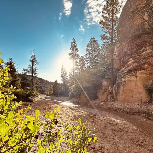 Best Hikes And Trails In Grand Staircase Escalante National Monument Alltrails