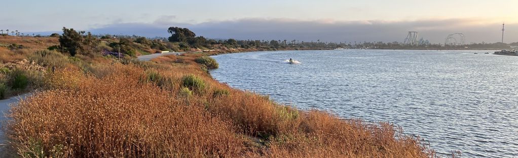 are dogs allowed at mission bay park