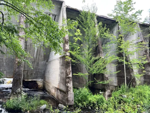 10 Best Hikes and Trails in Ricketts - EyJidWNrZXQiOiJhc3NldHMuYWxsdHJhaWxzLmNvbSIsImtleSI6InVwbG9hZHMvcGhvdG8vaW1hZ2UvNjE5MzEzODAvYWI0YTI5YjdlYTZhNzk3NzFlMTAyYjM2Yzg4ZDM2ZTQuanBnIiwiZWRpdHMiOnsidG9Gb3JtYXQiOiJ3ZWJwIiwicmVzaXplIjp7IndpZHRoIjo1MDAsImhlaWdodCI6NTAwLCJmaXQiOiJpbnNpZGUifSwicm90YXRlIjpudWxsLCJqcGVnIjp7InRyZWxsaXNRdWFudGlzYXRpb24iOnRydWUsIm92ZXJzaG9vdERlcmluZ2luZyI6dHJ1ZSwib3B0aW1pc2VTY2FucyI6dHJ1ZSwicXVhbnRpc2F0aW9uVGFibGUiOjN9fX0=