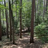 Fallison Lake Trail, Wisconsin - 292 Reviews, Map | AllTrails