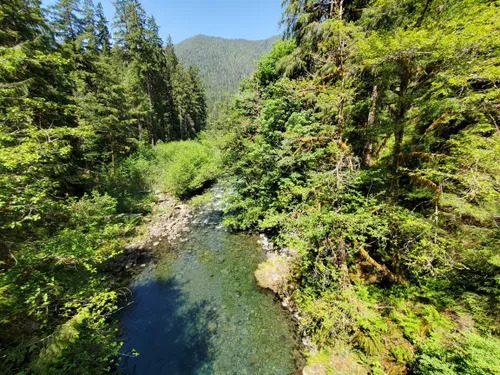 Lake hotsell quinault hiking