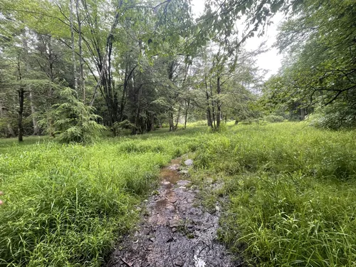 10 Best Hikes and Trails in Otter Creek Wildlife Management Area