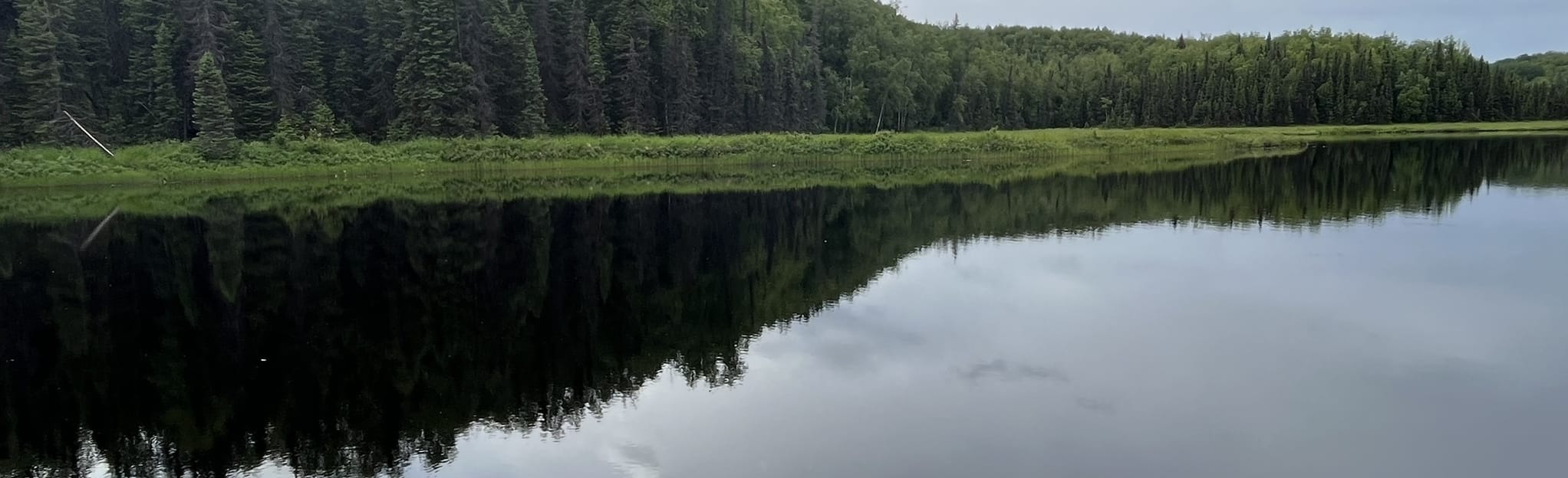 Lynx Lake Canoe Route, Alaska 37 Reviews, Map AllTrails